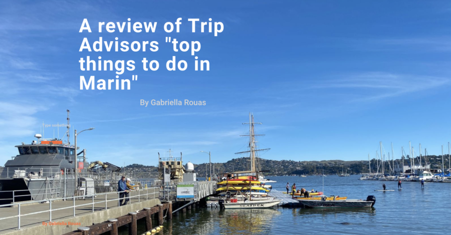 A review of Trip Advisors top things to do in Marin