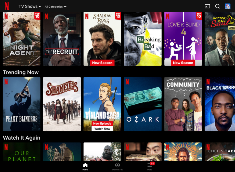 Showcase of the wide selection of Netflix shows, movies and originals. (Photo courtesy of Netflix).