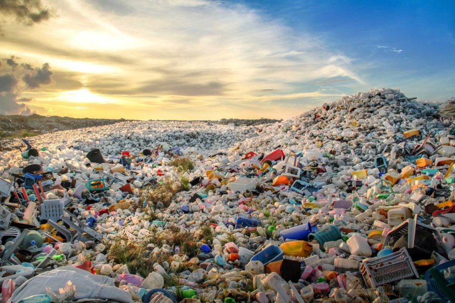 After everything else has decomposed, plastic waste still remains. (Photo courtesy of ShutterStock)
