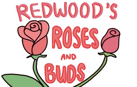 Stop and smell the flowers with Redwood’s roses and buds