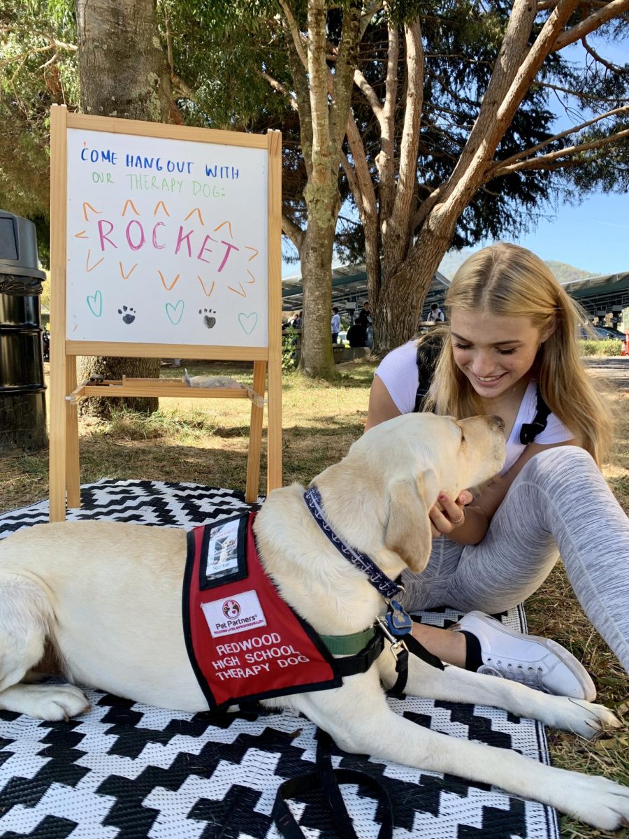 Laying on a picnic blanket, Rocket brings a smile to a student’s face. (Photo courtesy of Emily Janowsky)