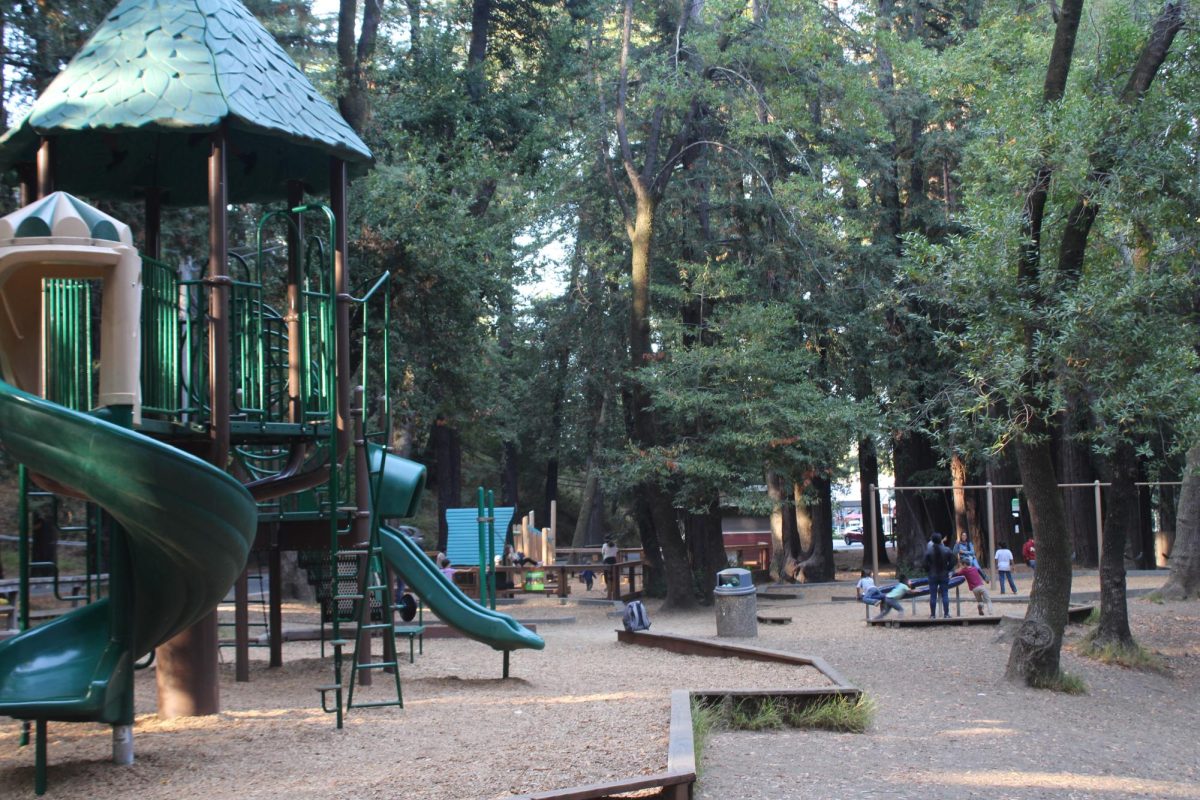Swing by the parks near Redwood