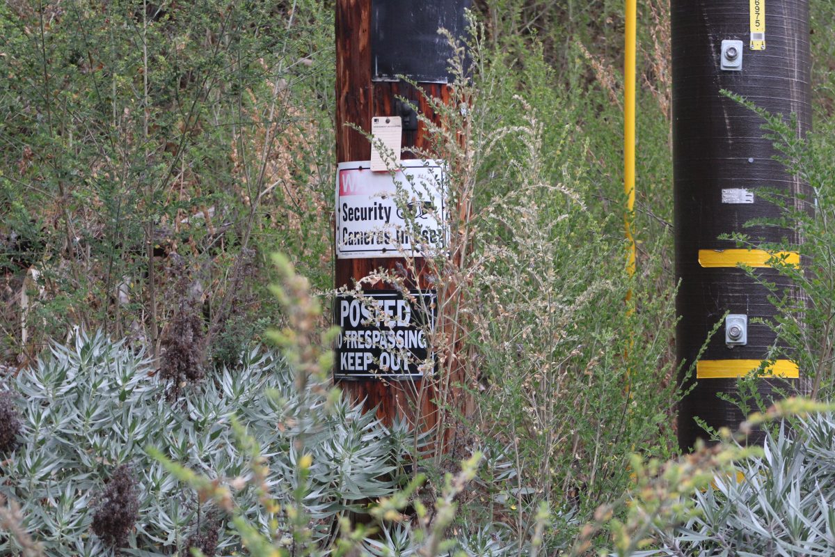 Old no trespassing signs yet to be taken down sticks out of the bushes.