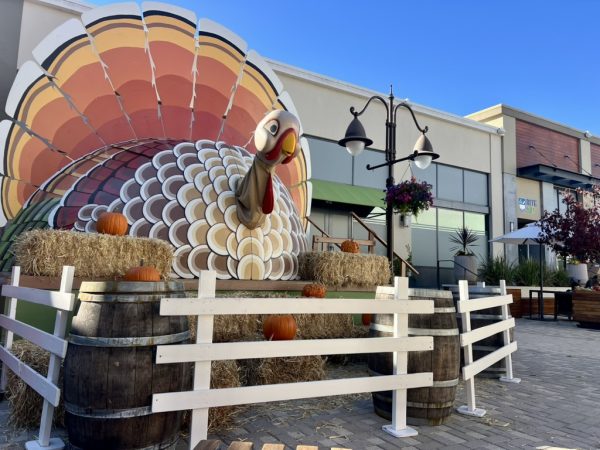  To bring the Thanksgiving spirit to Town Center Mall in Corte Madera, a turkey decoration is set up annually. 
