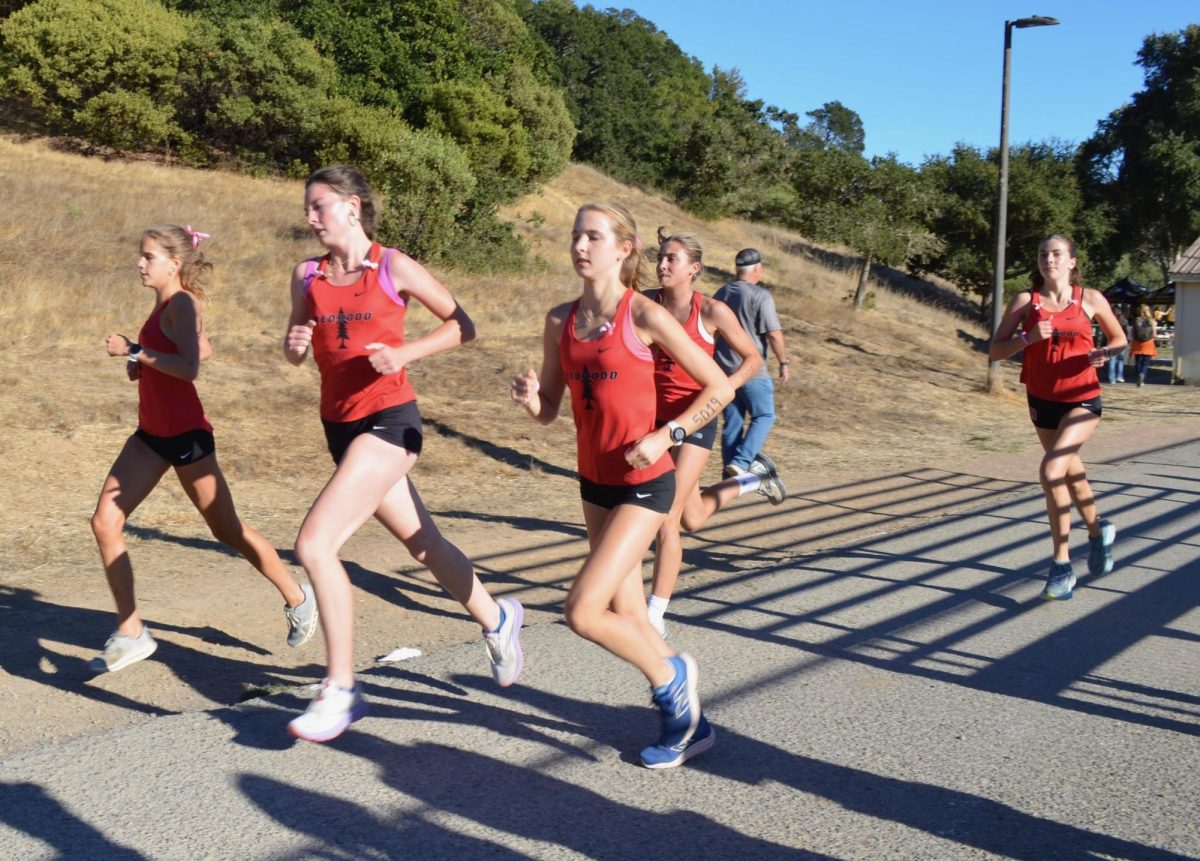 The top three Redwood runners guide their teammates behind them into the woods, completing their first mile of the 3.1-mile race.