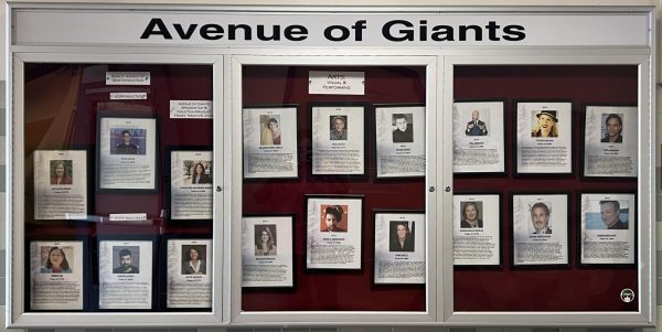 Redwood's Avenue of Giants feature many well known names, such as Governor Gavin Newsom and actor Robin Williams