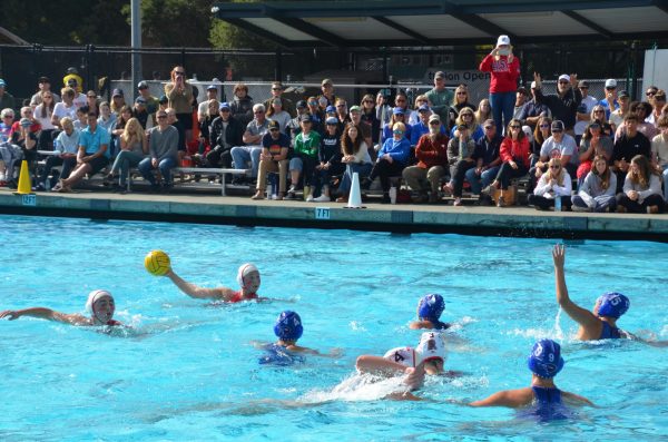 Girls’ varsity water polo falls short of MCAL Championship