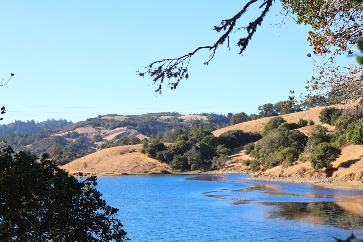 Restraining order pushes back the opening of new trails across Mount Tamalpais