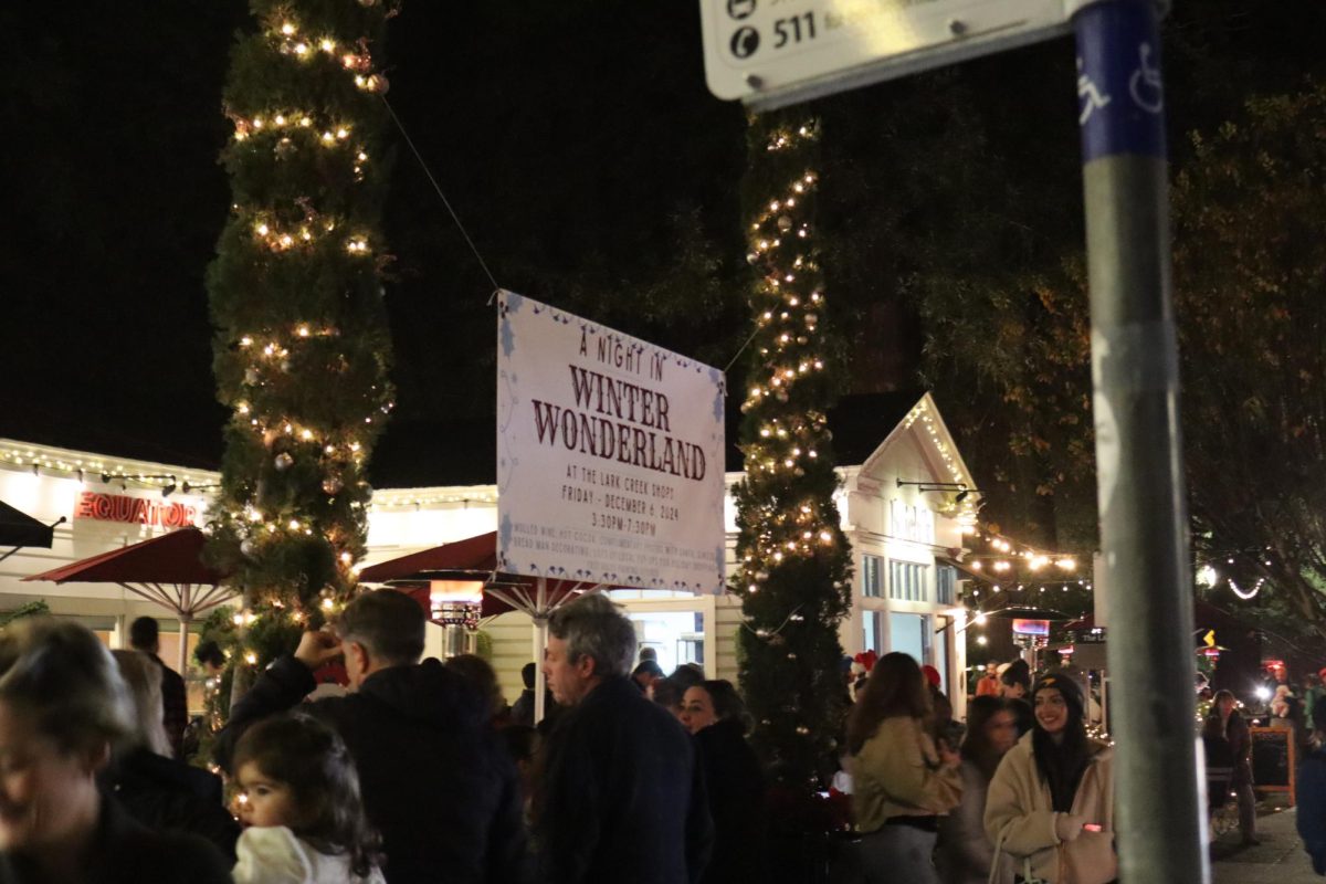  Under the A Night in Winter Wonderland sign, visitors gather to celebrate the season.
