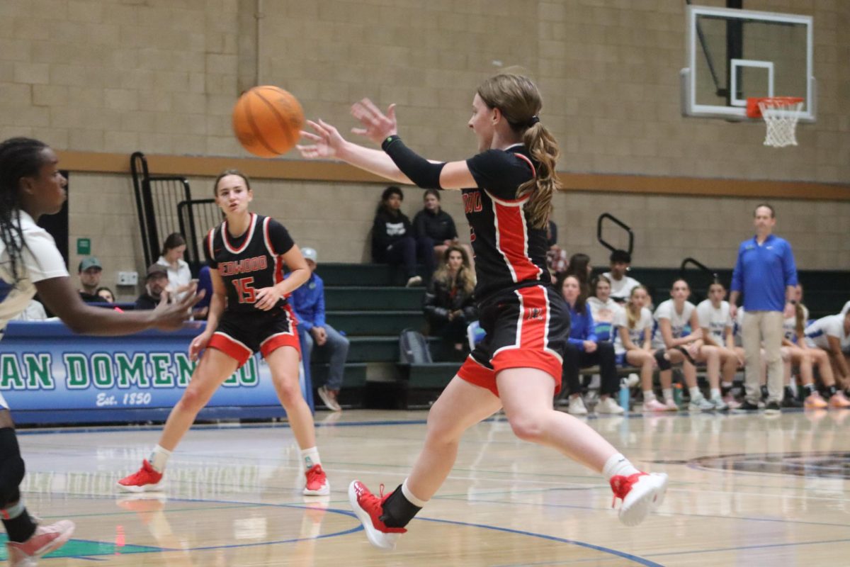 Leaping in the air, senior Ainsley Gallagher catches the ball as Saibel watches closely.
