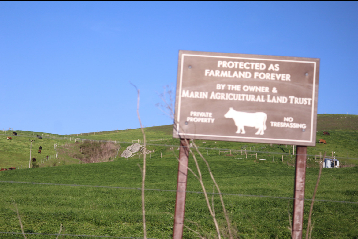 150 years of farming in Point Reyes comes to an end after government buyout