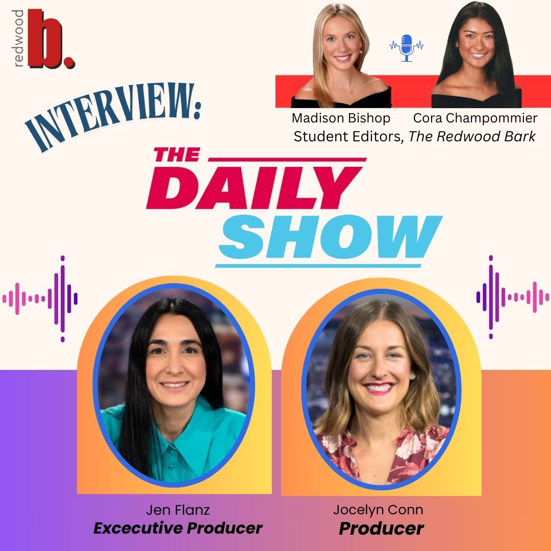 Emmy-winning "Daily Show" guide to the digital news era