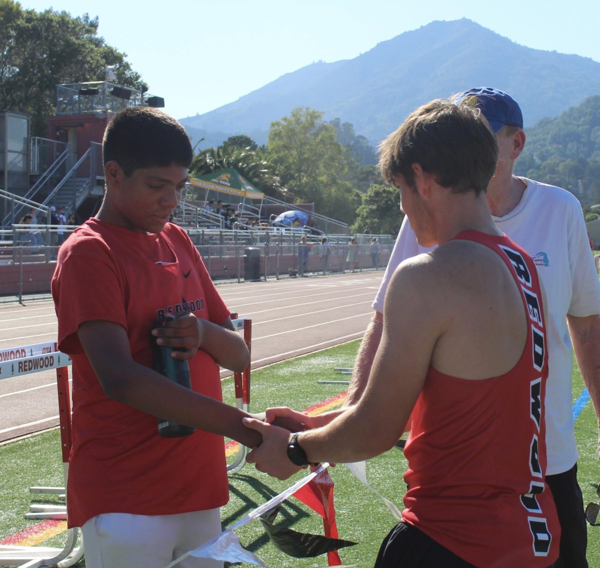 Photo #6