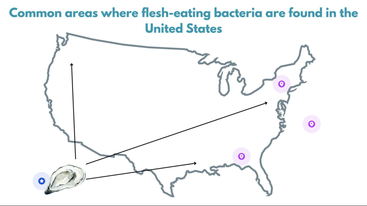 Flesh-eating bacteria on the rise in the United States