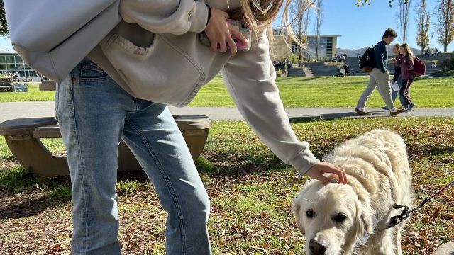 Junior Saskia Swildens pets the therapy dog provided on the first day of Wellness's Stress-Less week.